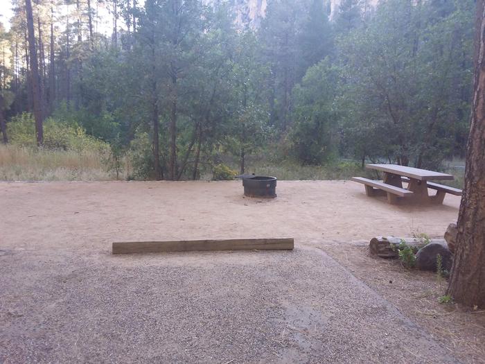 Pine Flat Campground Site 58 with a picnic table and campfire ring
