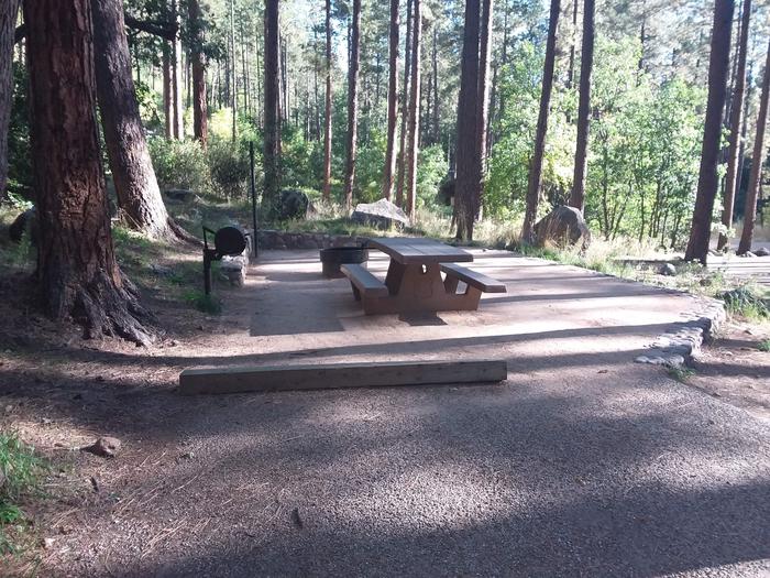 Pine Flat Campground Site 60 with a picnic table, grill, and campfire ring