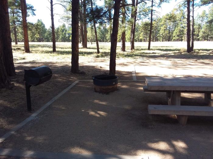 Site 16 with a picnic table, campfire ring and grill
