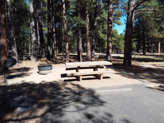Site 17 with a picnic table, campfire ring and grill