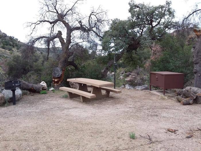 Site 1Site 1 with a picnic table, fire ring, lantern pole, camp grill, and food storage. Parking is within close walking distance.