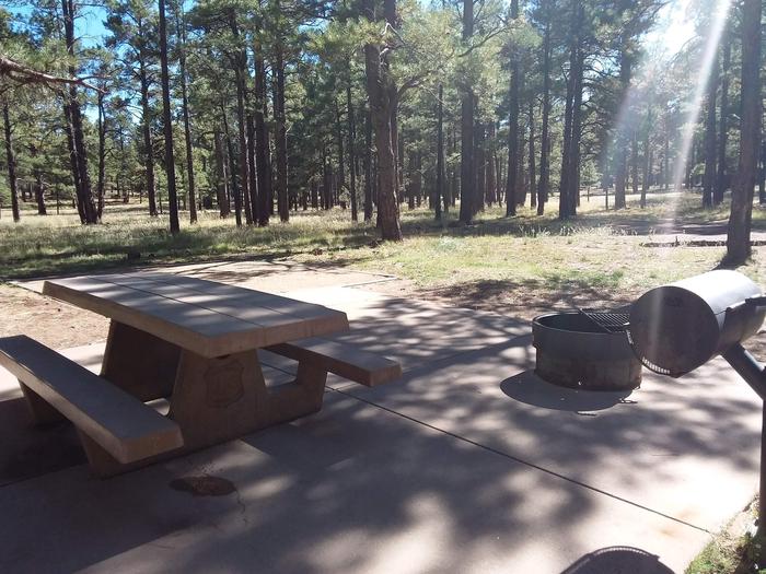 Site 28 with a picnic table, campfire ring and grill