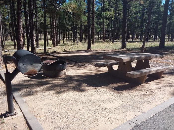 Site 30 with a picnic table, campfire ring and grill