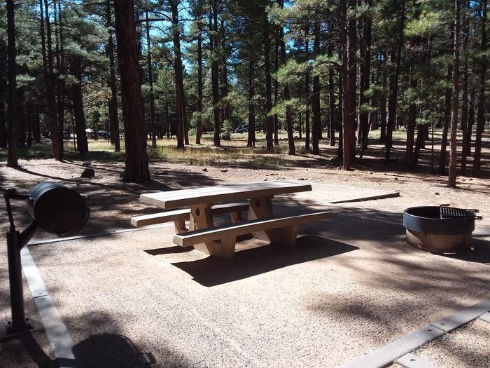 Site 35 with a picnic table, campfire ring and grill