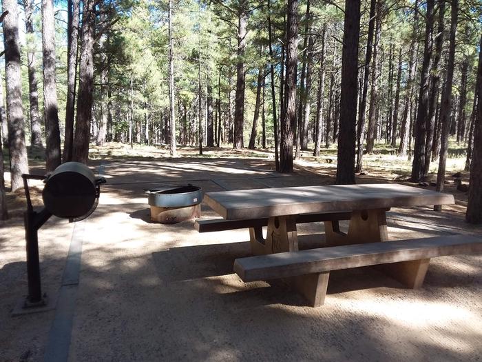 Site 36 with a picnic table, campfire ring and grill
