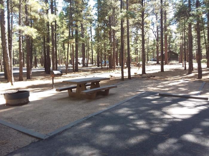 Site 37 with a picnic table, campfire ring and grill