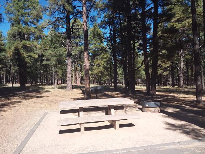 Site 21 with a picnic table, campfire ring and grill