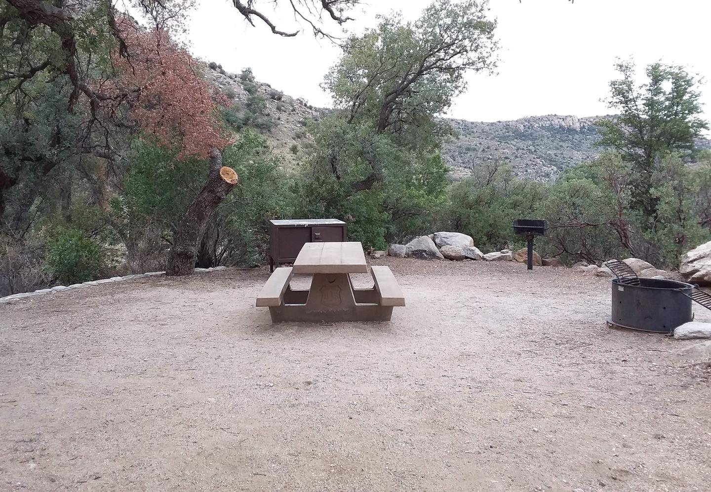 Site 5 with a picnic table, food storage, camp grill, and a lantern pole.Site 5 with a picnic table, food storage, camp grill, and a lantern pole. Parking is within close walking distance.