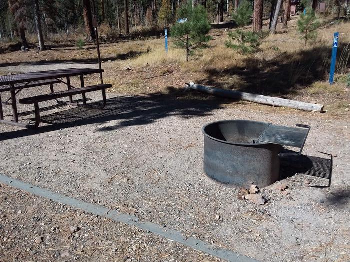 Site 29 with table and campfire ring in front of a log.Campsite 29 