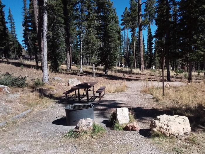 Site 30 with a Campfire grill and table beside three rocks and some trees.Campsite 30