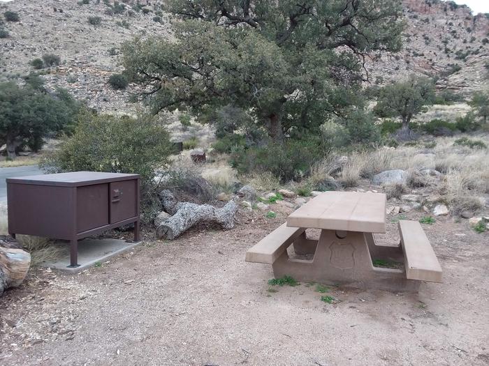 Site 9 food storage and picnic table.