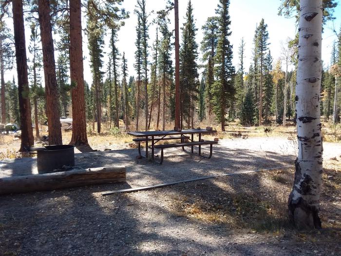 Site 38 with pine, and birch trees, with a nice log with the fire ring and a table.Campsite 38