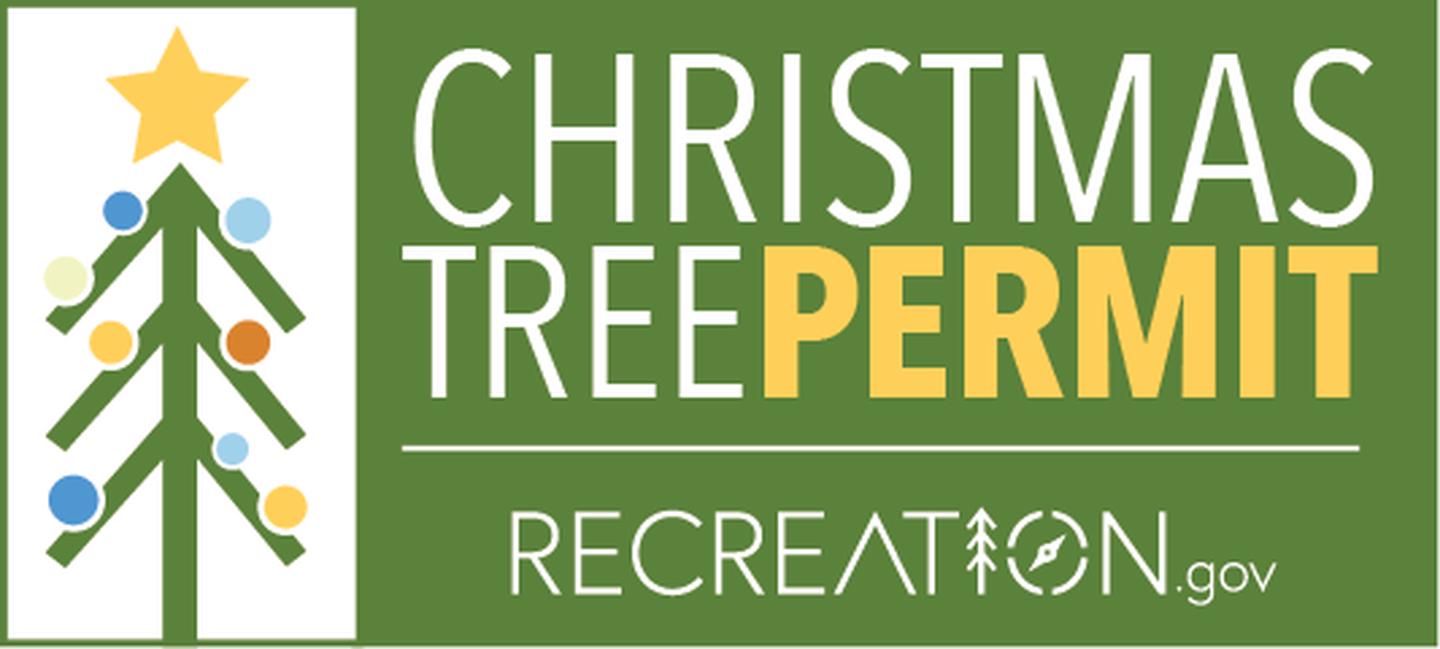 Christmas Tree Permit Recreation.govTree