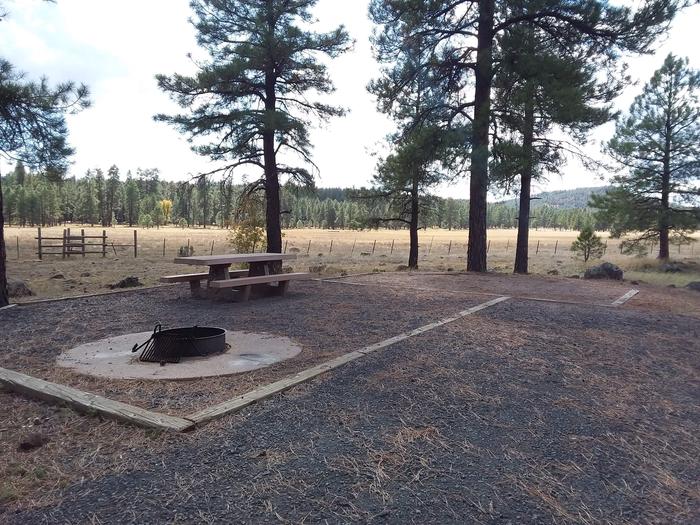Loop A Campsite 3 with a picnic table, fire ring, open field and mountainous views