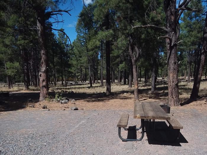 Site 2 gravel area with table next to trees.Campsite 2