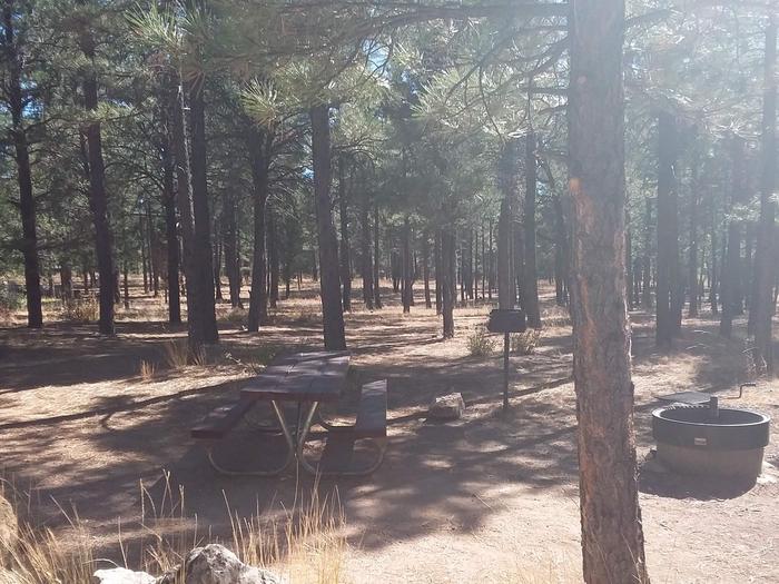 Squirrel Loop Site 19 partially shaded with a picnic table, grill and fire pit