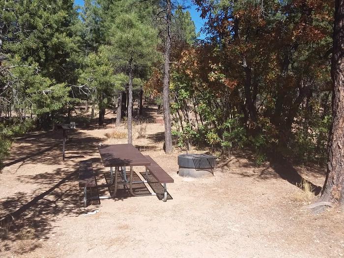 Squirrel Loop Site 21 partially shaded with a picnic table, grill and fire pit