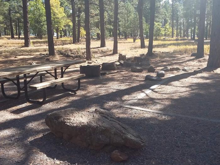 Site 3 with campfire ring, picnic table, trees, and rocks.Campsite 3 