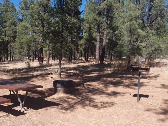 Moenkopi Loop Site 13 partially shaded with a picnic table, grill and fire pit