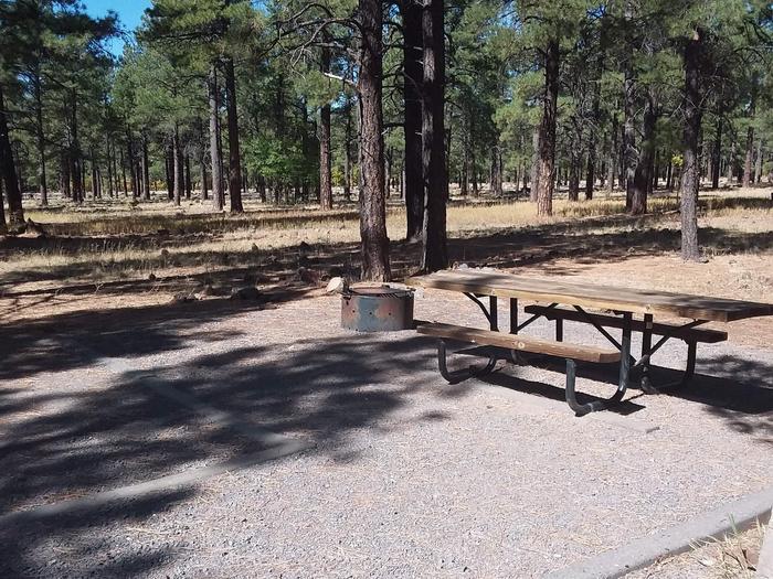 Site 4 campfire ring, and table with scenic trees.Campsite 4