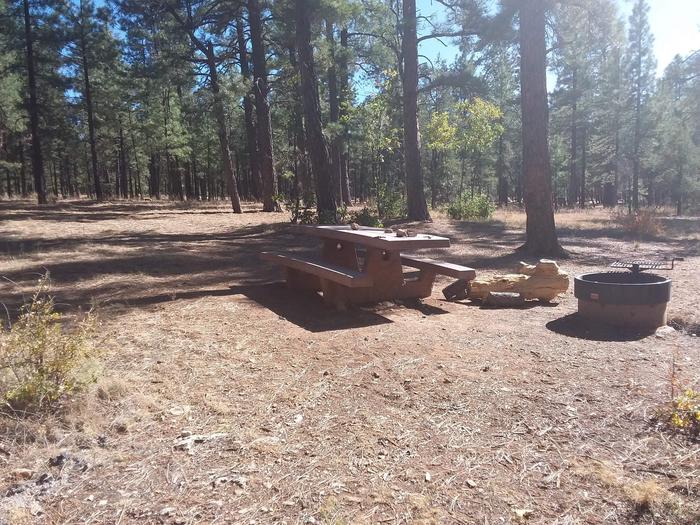 Squirrel Loop Site 12 partially shaded with a picnic table, grill and fire pit