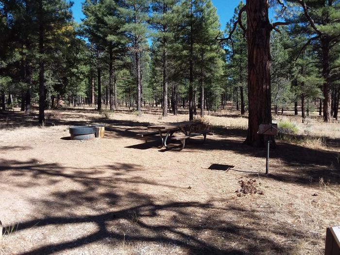 Moenkopi Loop Site 47 partially shaded with a picnic table, grill and fire pit