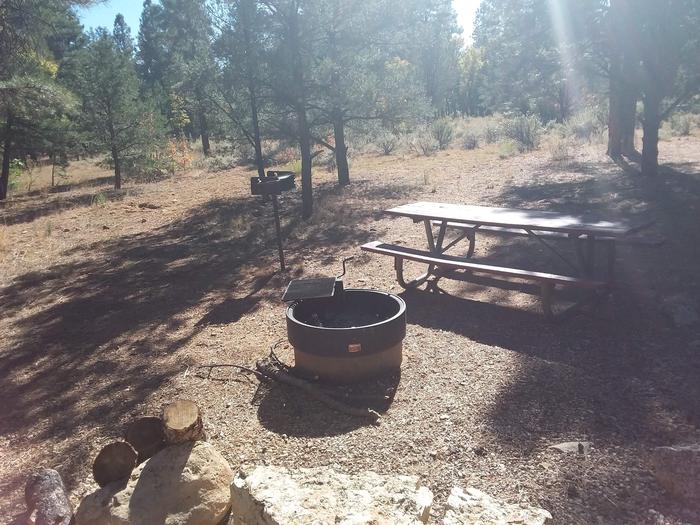 Raven Loop Site 9 partially shaded with a picnic table, grill and fire pit