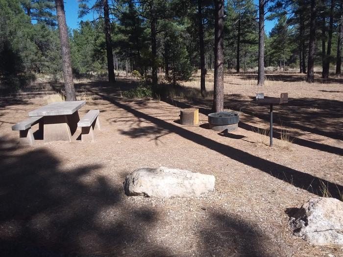 Moenkopi Loop Site 52 partially shaded with a picnic table, grill and fire pit