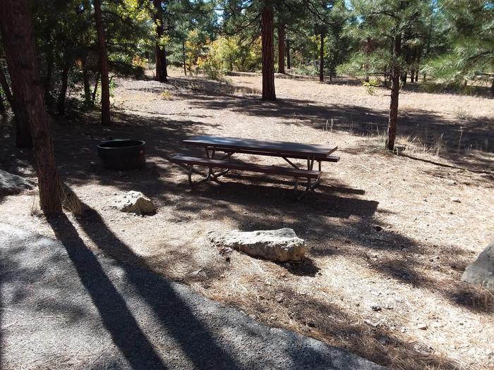 Moenkopi Loop Site 55 partially shaded with a picnic table and fire pit