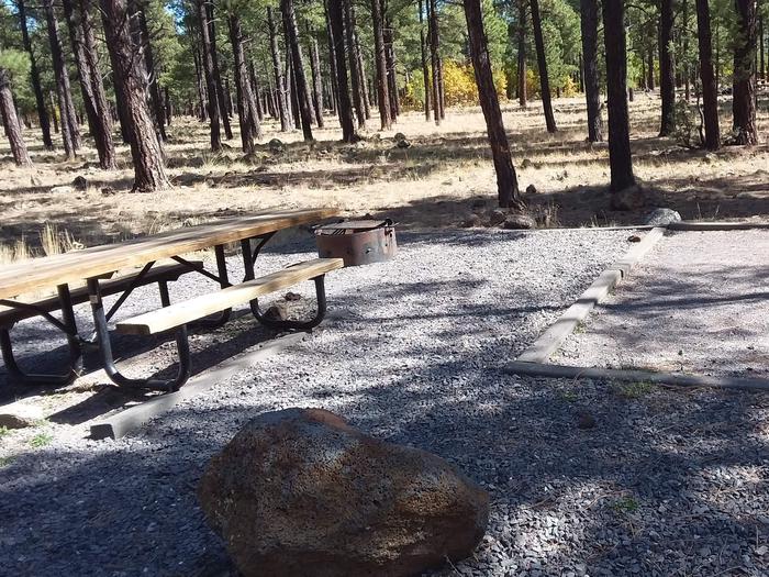 Site 11 with table and fire ring.Campsite 11