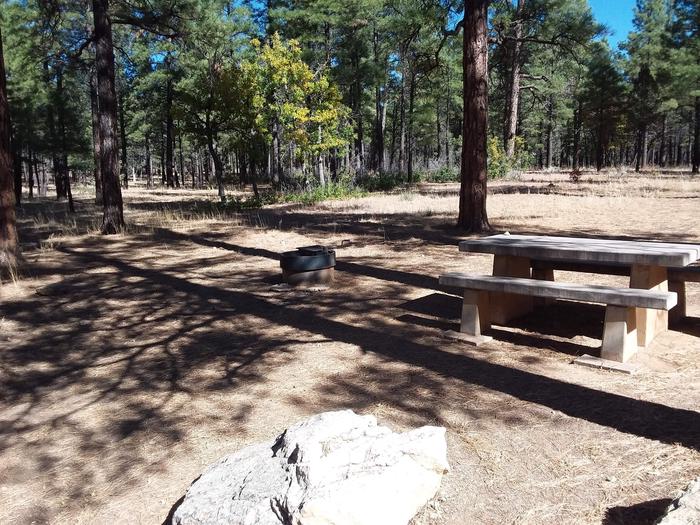 Raven Loop Site 14 partially shaded with a picnic table and fire pit