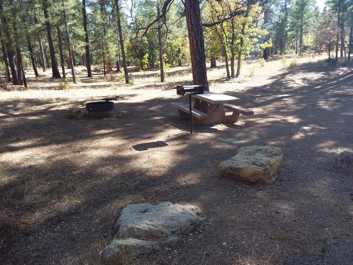 Moenkopi Loop Site 57 partially shaded with a picnic table, grill and fire pit