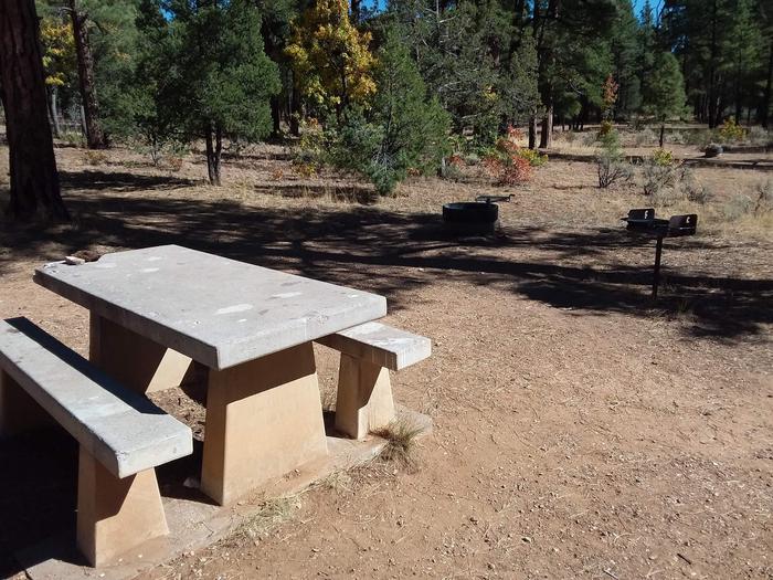 Moenkopi Loop Site 59 partially shaded with a picnic table, grill and fire pit