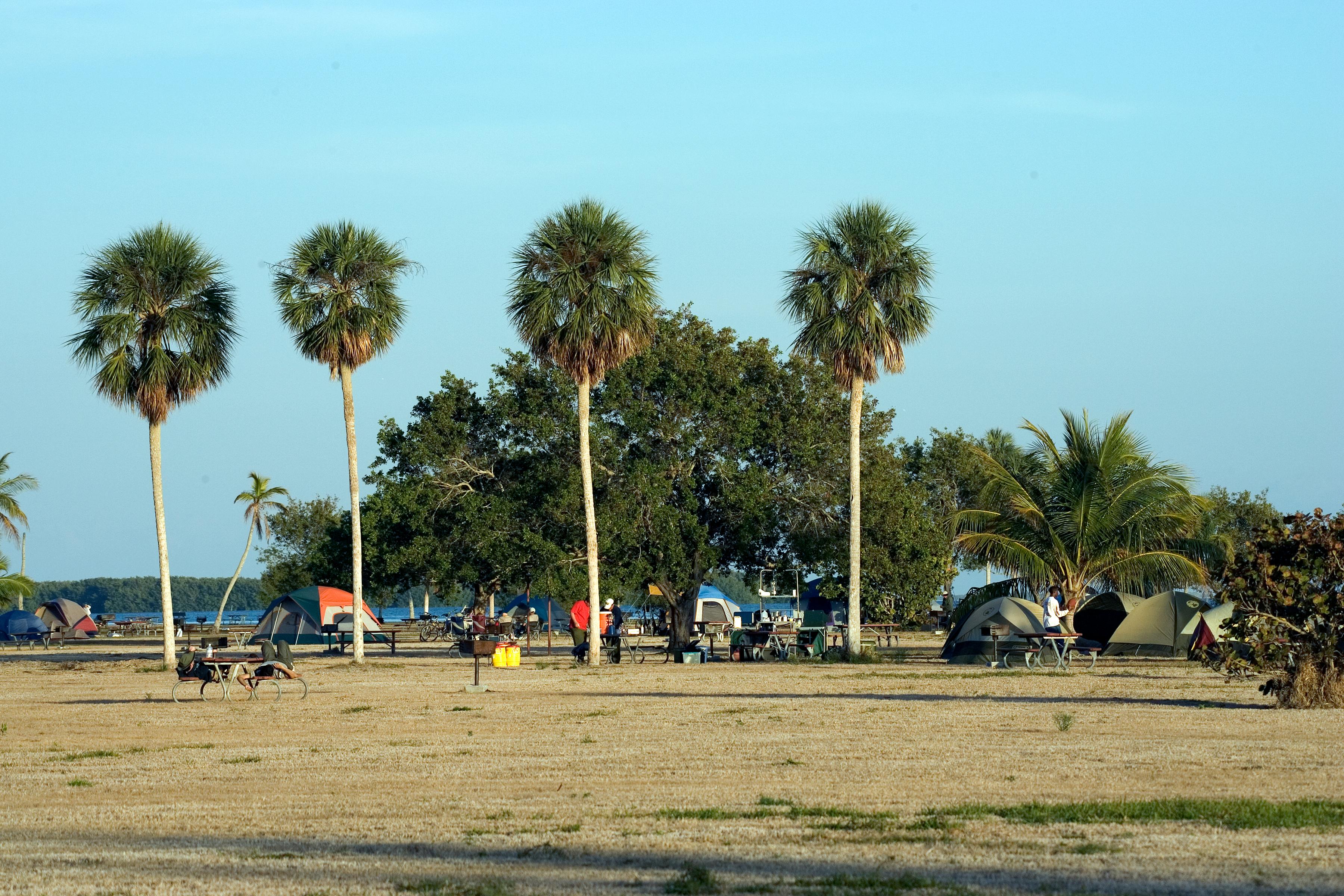 Flamingo Campground