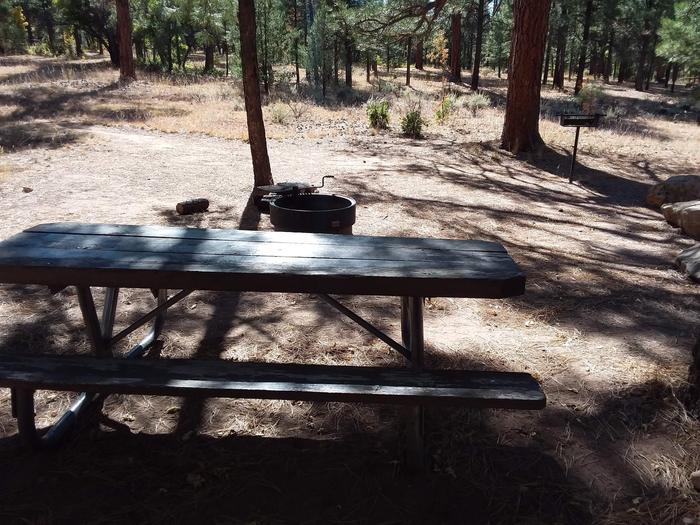Raven Loop Site 18 partially shaded with a picnic table, grill and fire pit
