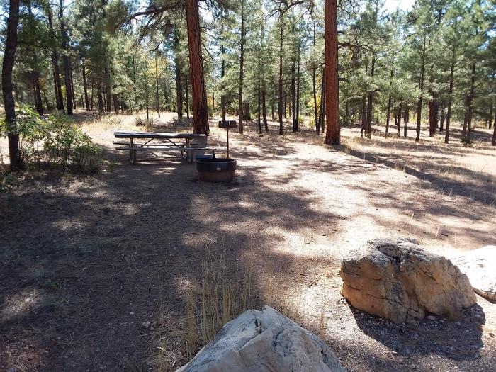 Raven Loop Site 20 partially shaded with a picnic table, grill and fire pit