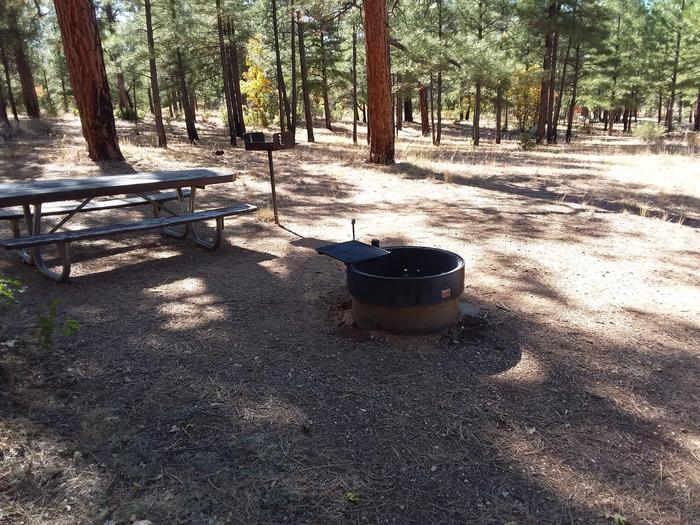 Raven Loop Site 21 partially shaded with a picnic table, grill and fire pit