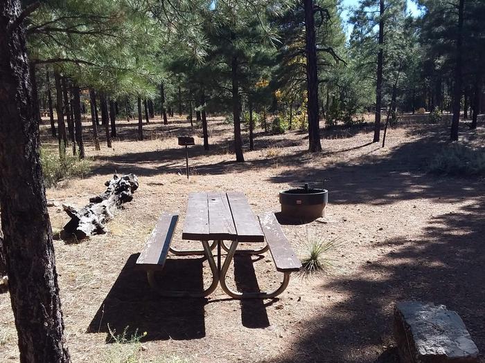 Raven Loop Site 23 partially shaded with a picnic table, grill and fire pit