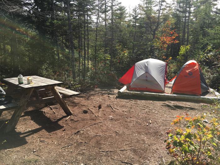 A photo of Site H01 of Loop Hike-In at Schoodic Woods Campground with Picnic Table, Shade, Tent Pad