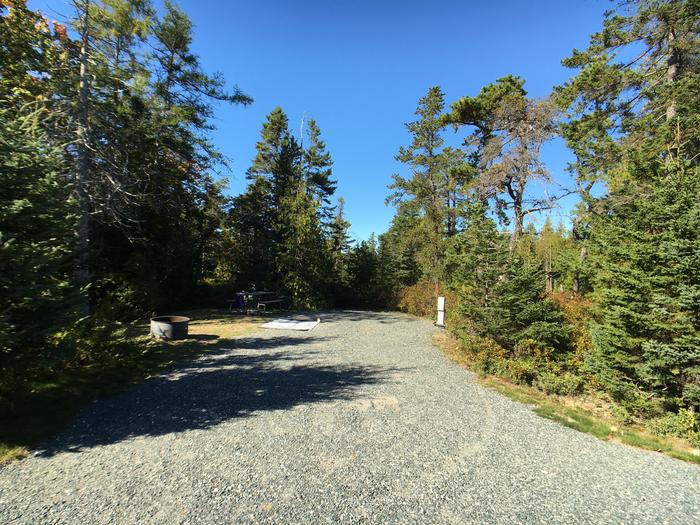 A photo of Site A05 of Loop A-Loop at Schoodic Woods Campground with Picnic Table, Electricity Hookup, Fire Pit