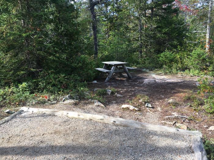 A photo of Site H04 of Loop Hike-In at Schoodic Woods Campground with Picnic Table, Shade, Tent Pad