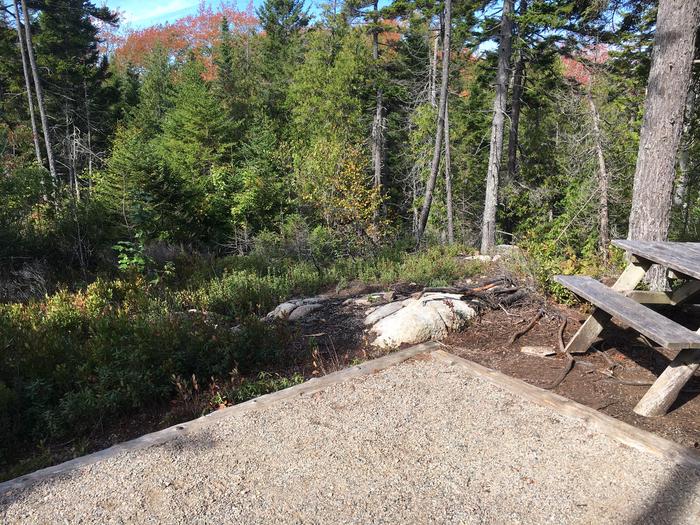 A photo of Site H09 of Loop Hike-In at Schoodic Woods Campground with Picnic Table, Shade, Tent Pad