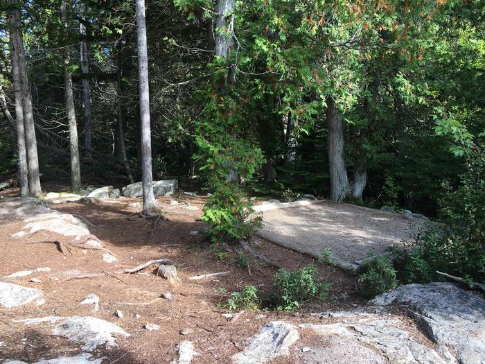 A photo of Site H05 of Loop Hike-In at Schoodic Woods Campground with Picnic Table, Shade, Food Storage