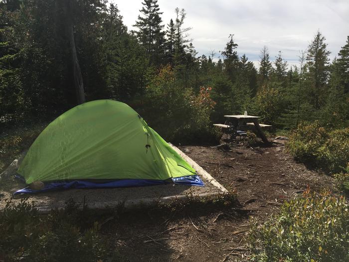 A photo of Site H02 of Loop Hike-In at Schoodic Woods Campground with Picnic Table, Shade, Tent Pad