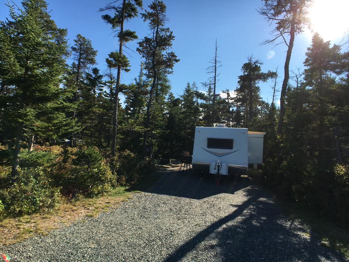 A photo of Site A29 of Loop A-Loop at Schoodic Woods Campground with Picnic Table, Electricity Hookup, Fire Pit