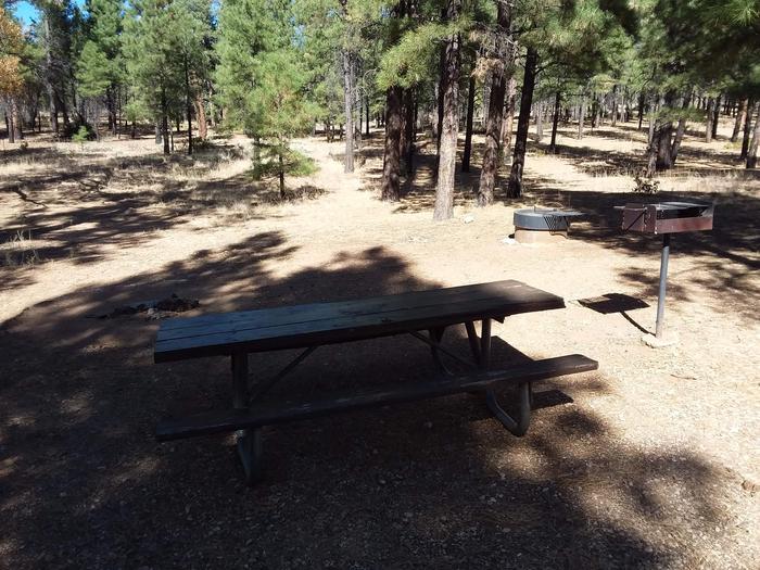 Raven Loop Site 22 partially shaded with a picnic table, grill and fire pit
