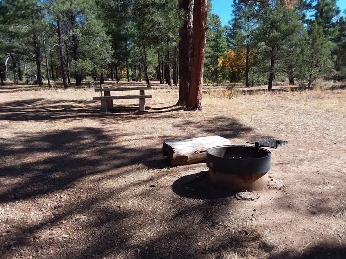 Raven Loop Site 28 partially shaded with a picnic table, grill and fire pit