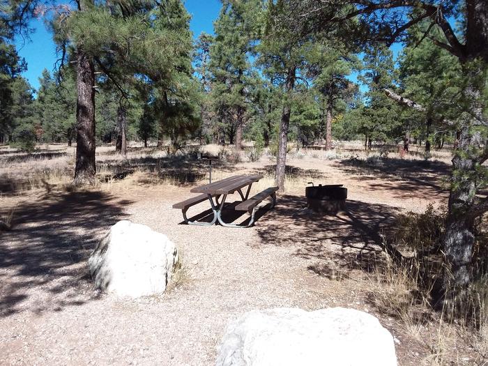 Squirrel Loop Site 4 partially shaded with picnic table, grill and fire pit