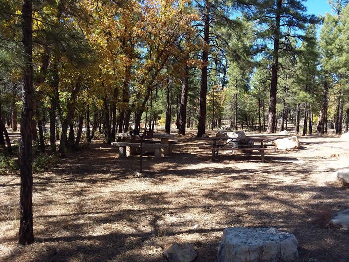 Squirrel Loop Site 5 partially shaded with picnic tables, grill and fire pit