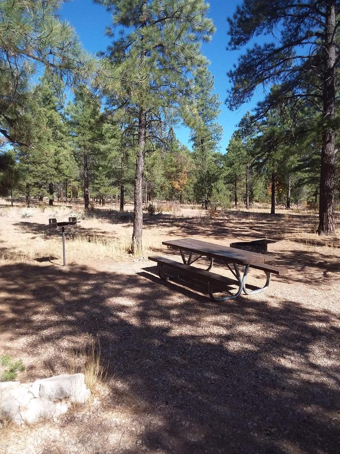 Toroweap Loop Site 15 partially shaded with picnic table, grill and fire pit